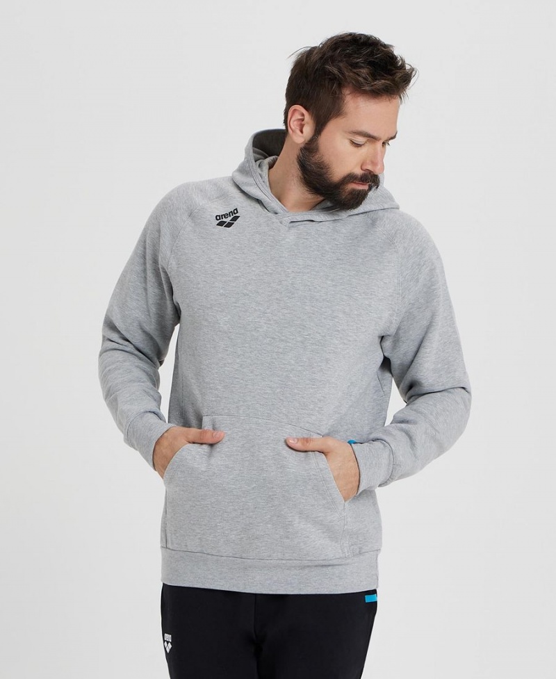 Sweatshirt Arena Team Encapuchonné Panel Grise Homme | BVO-13939823