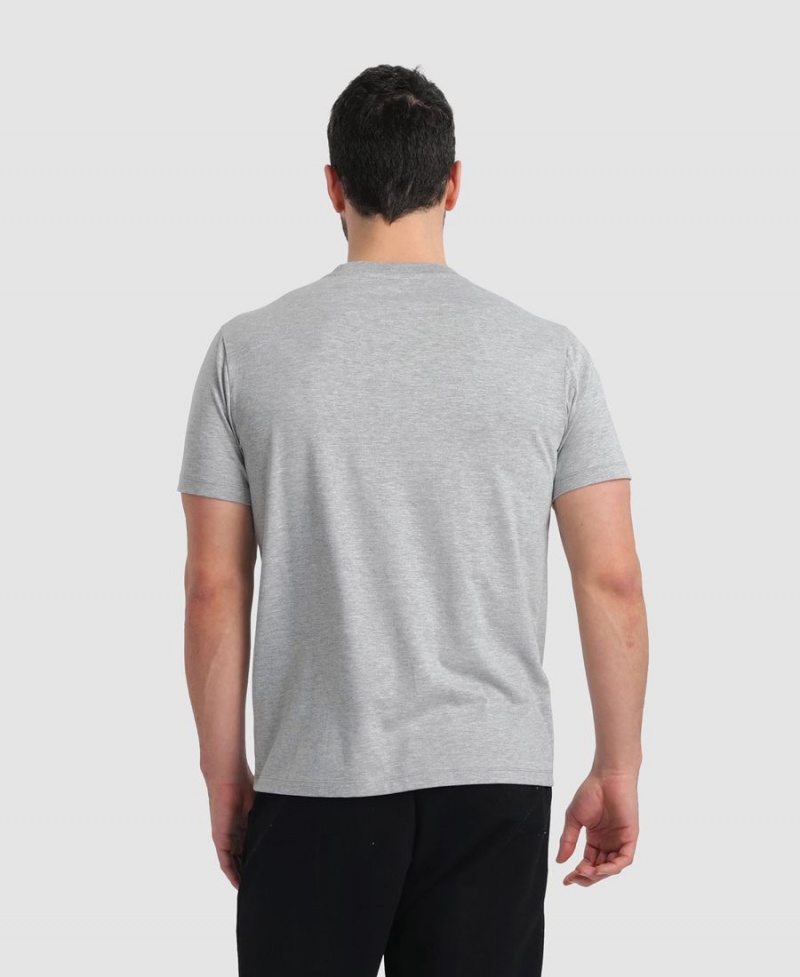 T-Shirt Arena Logo Coton Grise Homme | SCA-38376825