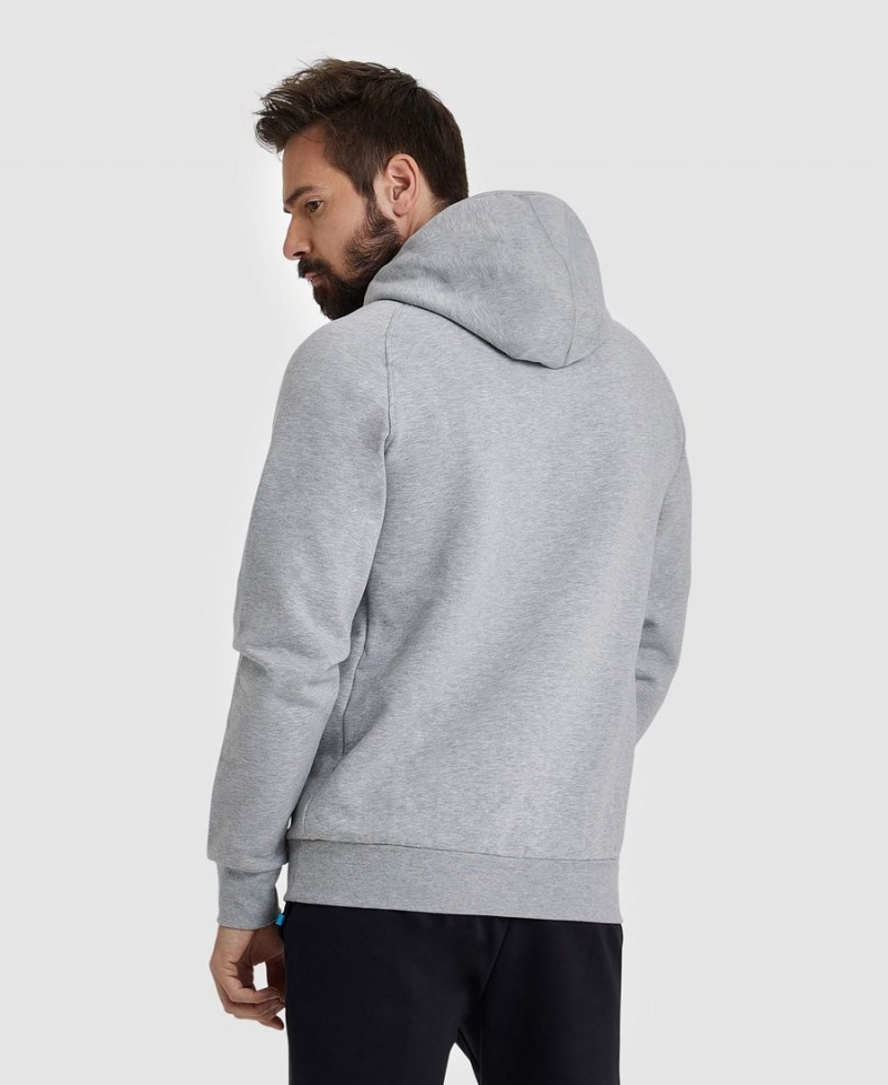 Sweatshirt Arena Logo Encapuchonné Grise Homme | SLY-95124116