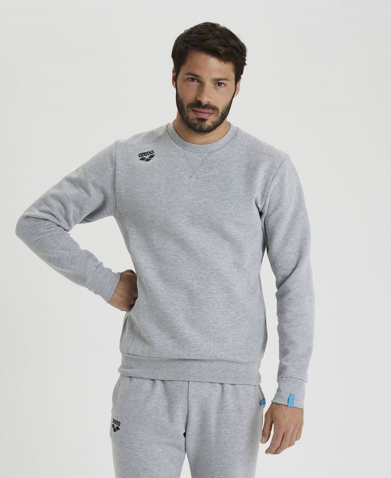 Sweatshirt Arena Solid Crewneck Grise Homme | HYB-16611269