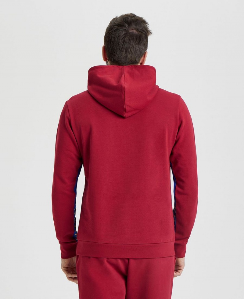 Sweatshirt Arena Icons Solid Encapuchonné Bordeaux Homme | EBT-20399999