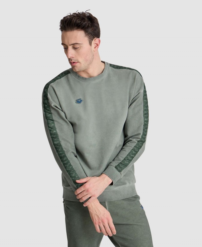 Sweatshirt Arena Icons Oversize Vert Homme | PVN-02267862