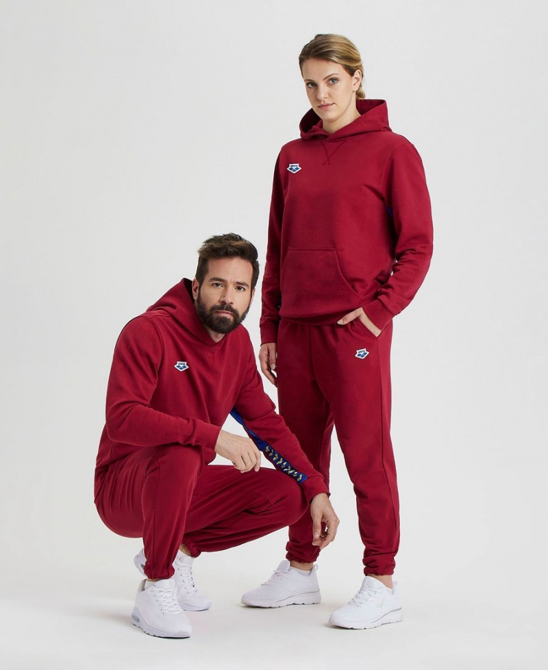 Sweatshirt Arena Icons Solid Encapuchonné Bordeaux Homme | EBT-20399999