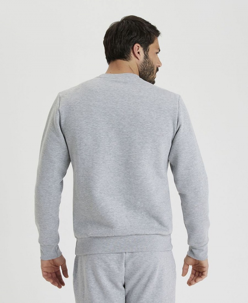 Sweatshirt Arena Solid Crewneck Grise Homme | HYB-16611269