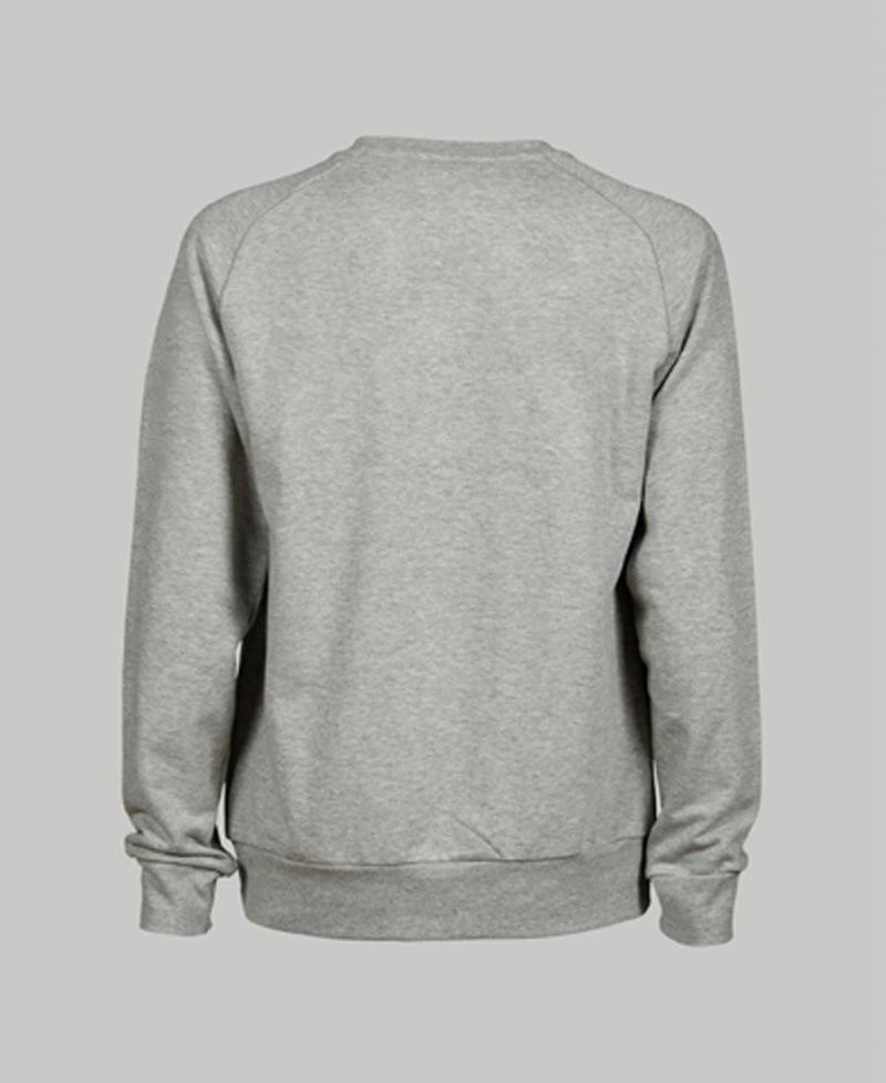 Sweatshirt Arena Essential Crewneck Grise Homme | SZZ-91595254