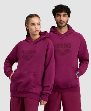 Sweatshirt Arena Logo Encapuchonné Bordeaux Homme | OUD-07069833