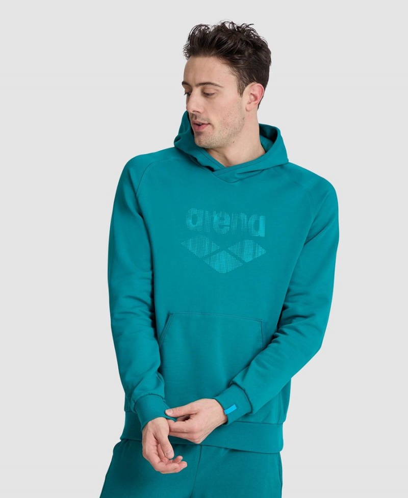 Sweatshirt Arena Logo Encapuchonné Vert Homme | JFB-57673177