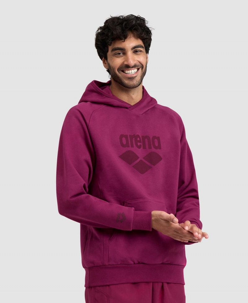 Sweatshirt Arena Logo Encapuchonné Bordeaux Homme | OUD-07069833