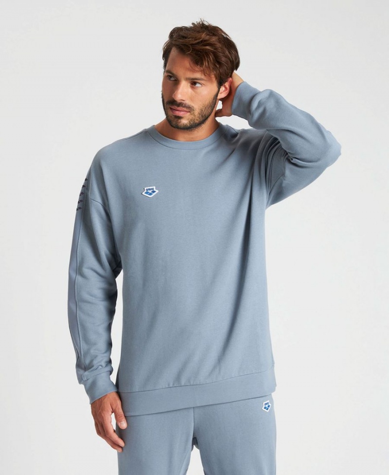 Sweatshirt Arena Oversized Team Grise Homme | XHF-24501590