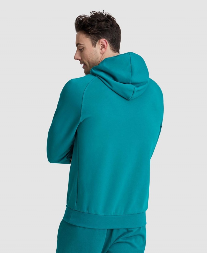 Sweatshirt Arena Logo Encapuchonné Vert Homme | JFB-57673177