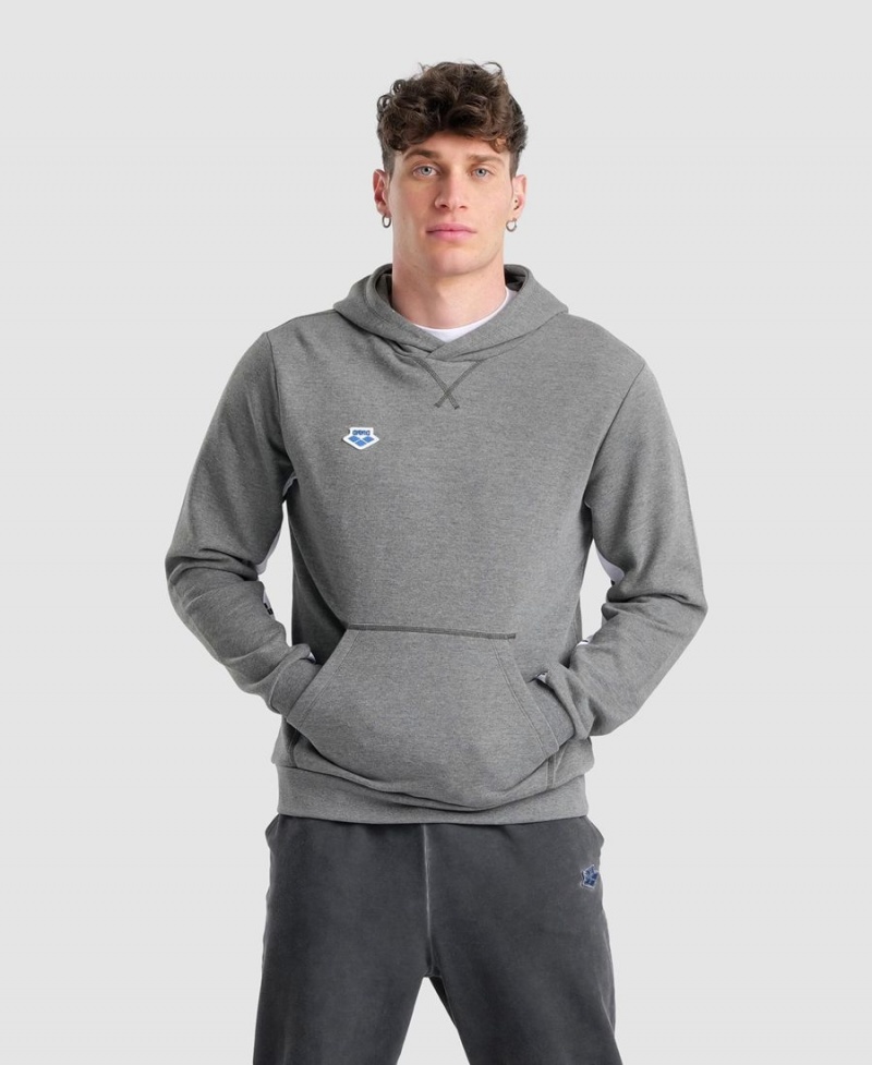 Sweatshirt Arena Icons Solid Encapuchonné Grise Homme | UFX-64015715