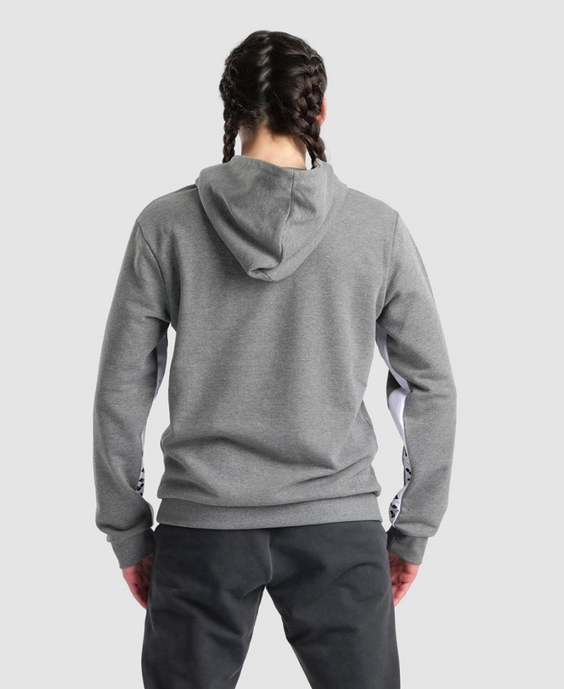 Sweatshirt Arena Icons Solid Encapuchonné Grise Homme | UFX-64015715