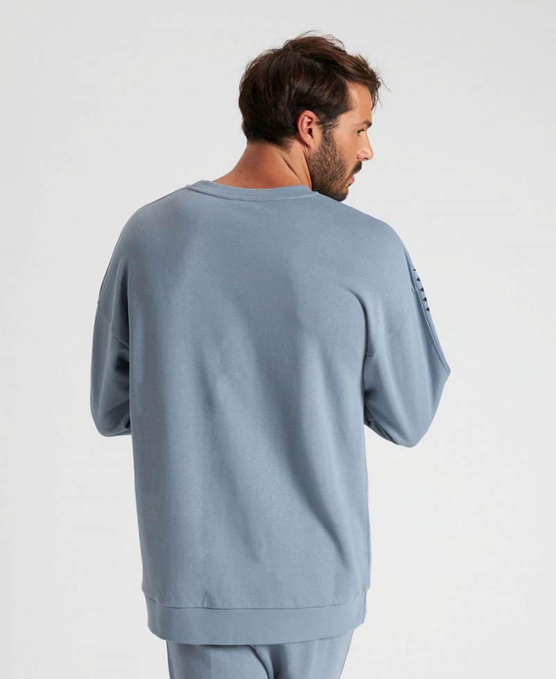 Sweatshirt Arena Oversized Team Grise Homme | XHF-24501590