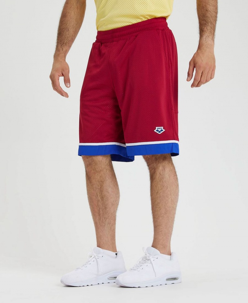 Short Arena Icons Reversible Bermuda Bordeaux Bleu Homme | OJP-92461938