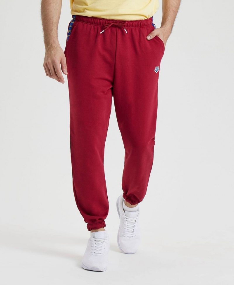 Pantalon Arena Icons Solid Bordeaux Homme | ZLM-02342578