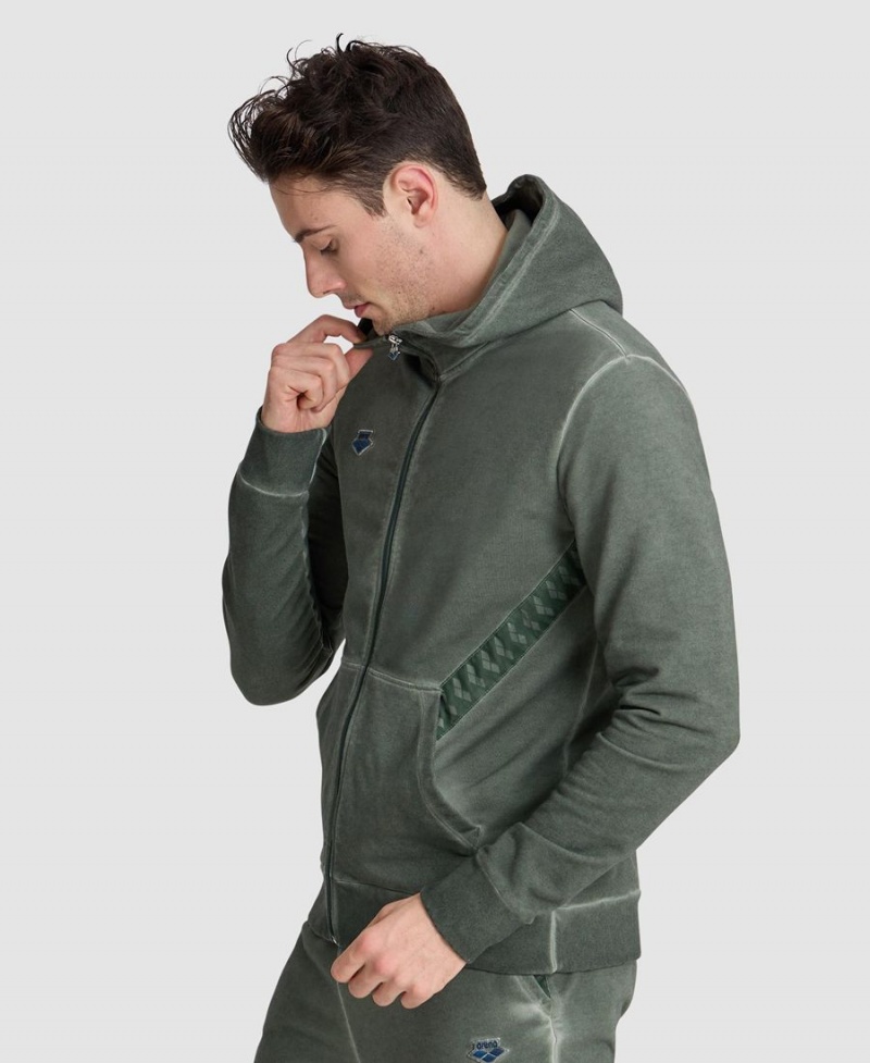 Veste Arena Icons Encapuchonné Vert Homme | DYU-55299642