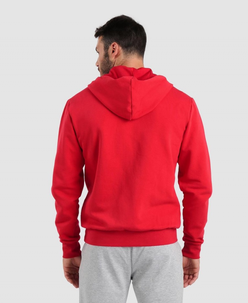 Veste Arena Team Encapuchonné Panel Rouge Homme | MZG-01725426