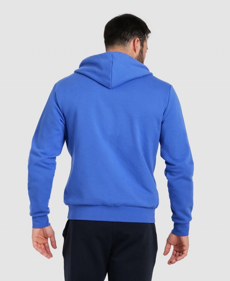 Veste Arena Team Encapuchonné Panel Bleu Homme | ZQQ-94890858