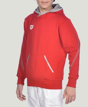 Sweat a Capuche Arena Youth Team Line Long Sleeve Rouge Fille | YKS-37931957