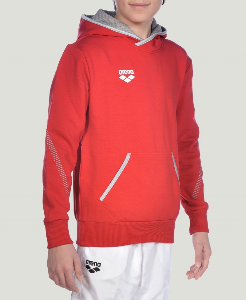 Sweat a Capuche Arena Youth Team Line Long Sleeve Rouge Fille | YKS-37931957