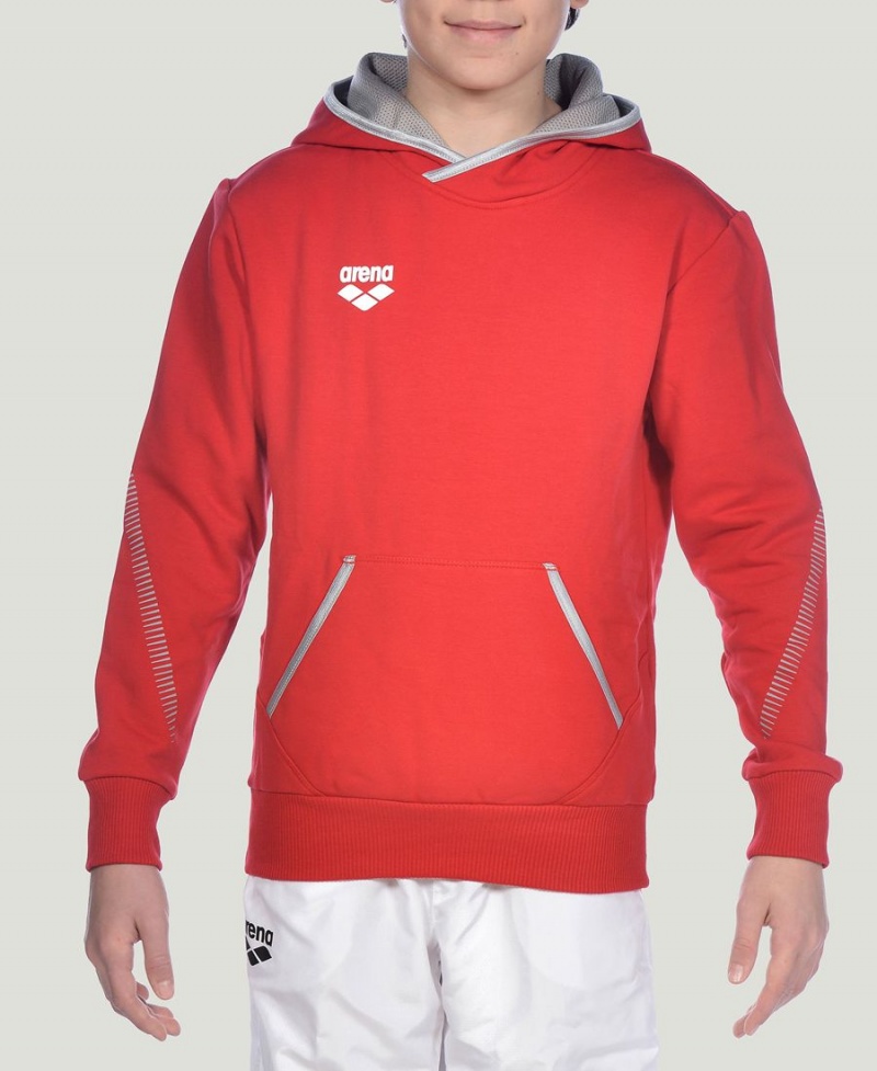 Sweat a Capuche Arena Youth Team Line Long Sleeve Rouge Fille | YKS-37931957