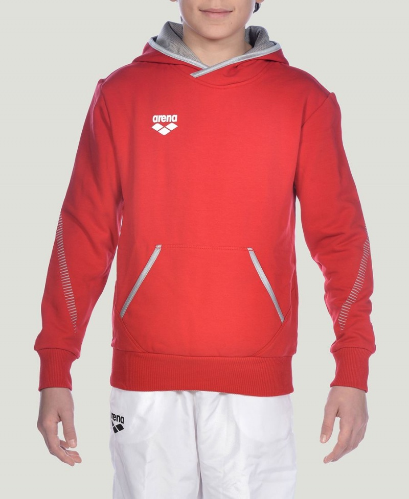 Sweat a Capuche Arena Youth Team Line Long Sleeve Rouge Fille | YKS-37931957