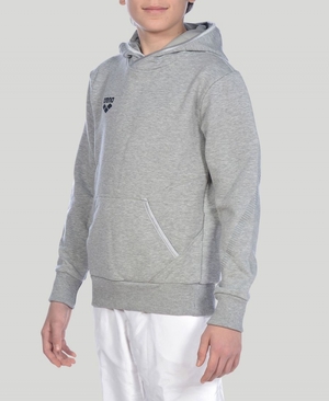 Sweat a Capuche Arena Youth Team Line Long Sleeve Grise Gar?on | CEL-49482247